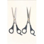 Professionals Razor Scissors